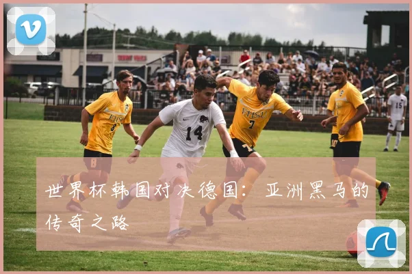 世界杯韩国对决德国:亚洲黑马的传奇之路