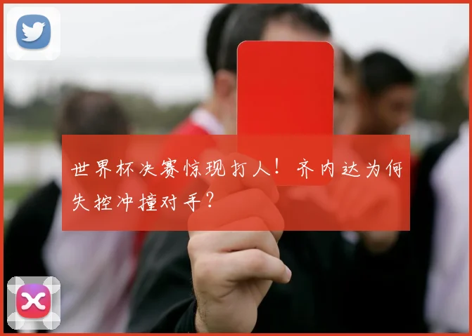世界杯决赛惊现打人!齐内达为何失控冲撞对手?