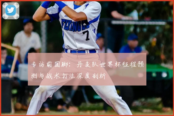 专访前国脚:丹麦队世界杯征程预测与战术打法深度剖析