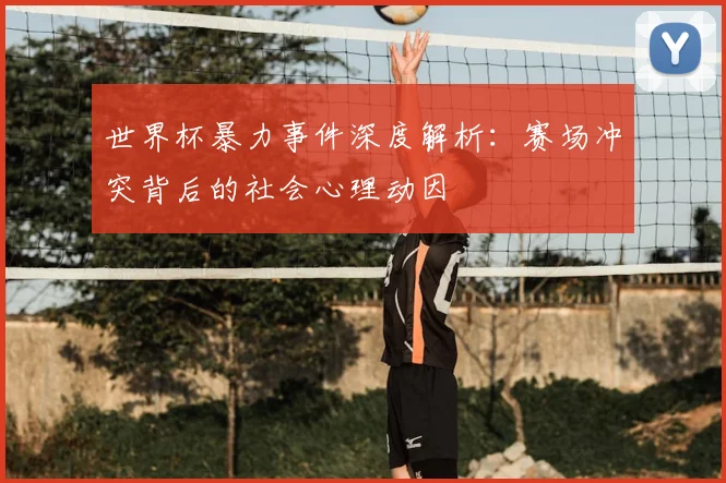 世界杯暴力事件深度解析:赛场冲突背后的社会心理动因