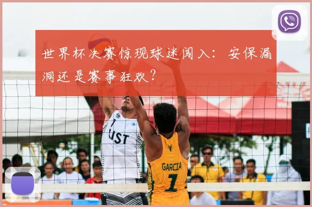 世界杯决赛惊现球迷闯入:安保漏洞还是赛事狂欢?